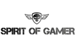 Spirit Of Gamer               